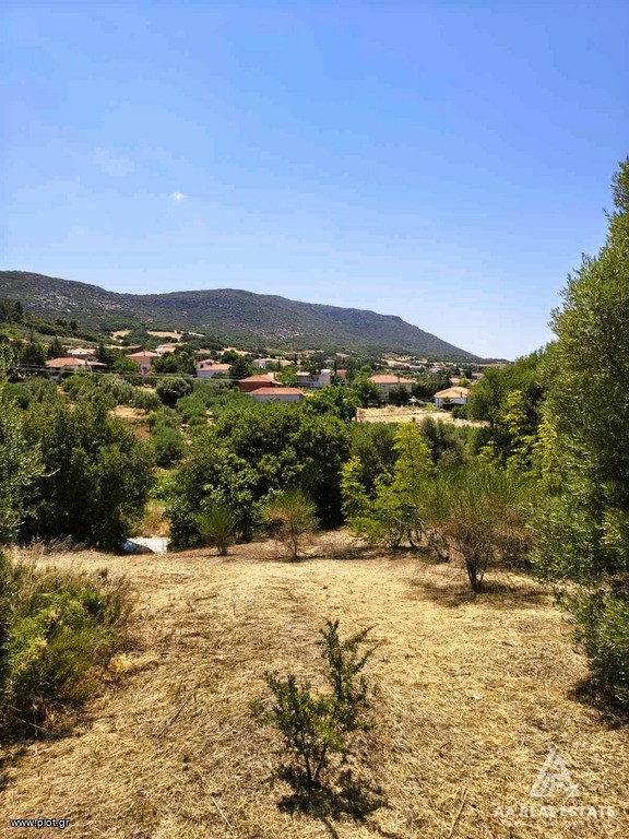 Οικόπεδο 1.492 τ.μ. πρός πώληση, Χαλκιδική, Τριγλία