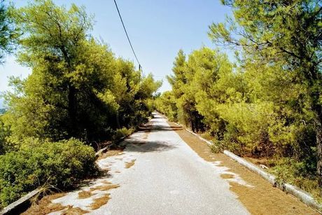 Οικόπεδο 1.031 τ.μ. πρός πώληση