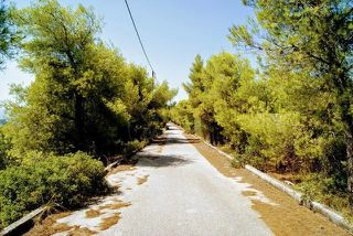 Οικόπεδο 1.031 τ.μ. για πώληση