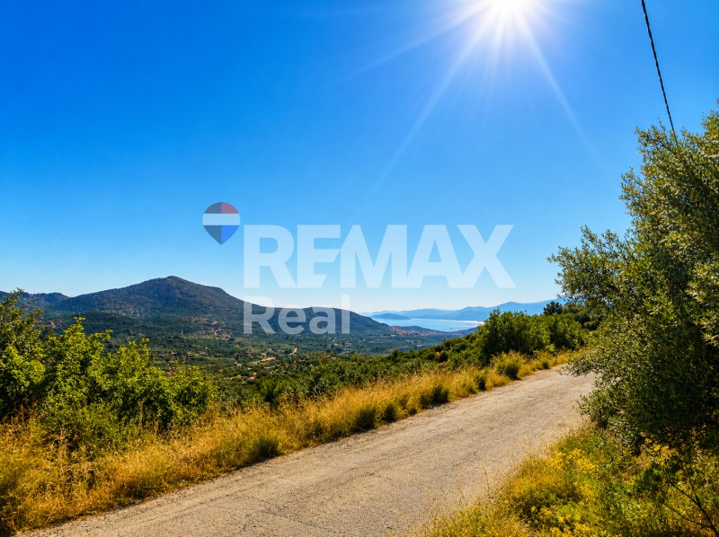 Οικόπεδο 970 τ.μ. προς πώληση, Κριτσά
