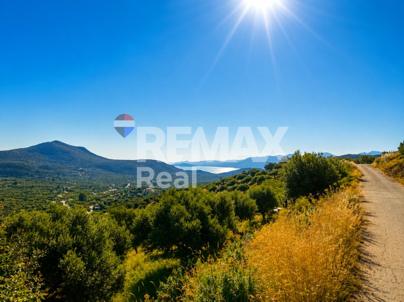 Οικόπεδο 970 τ.μ. προς πώληση, Κριτσά