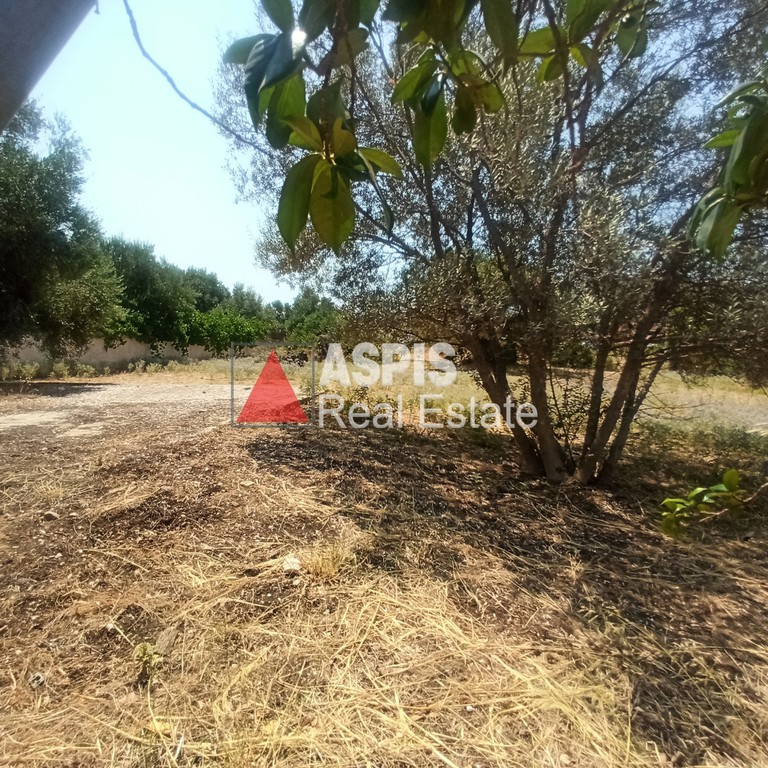 Οικόπεδο 775 τ.μ. προς ενοικίαση, Κίτσι