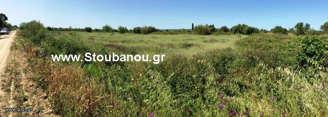 Αγροτεμάχια 6.918 τ.μ. για πώληση, Ν. Ηλείας, Λεχαινά