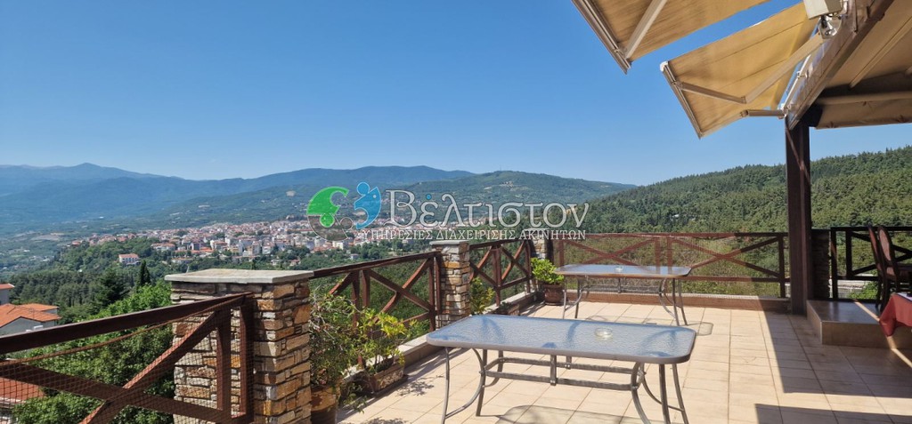 Κατάστημα 540 τ.μ. πρός πώληση, Πέλλα, Έδεσσα