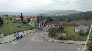 Κατάστημα 540 τ.μ. για πώληση, Πέλλα, Έδεσσα-thumb-15