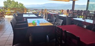 Κατάστημα 540 τ.μ. για πώληση, Πέλλα, Έδεσσα-thumb-3
