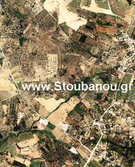 Αγροτεμάχια 12.710 τ.μ. για πώληση