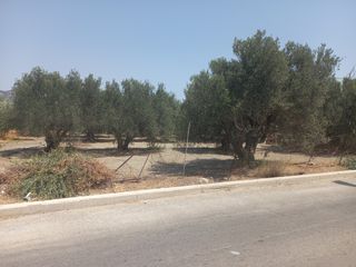 Οικόπεδο 762 τ.μ. για πώληση