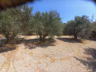 Οικόπεδο 762 τ.μ. για πώληση, Ν. Λασιθίου, Ιεράπετρα-thumb-6