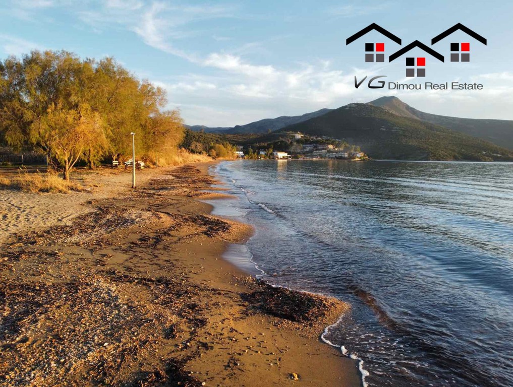 Αγροτεμάχια 4.321 τ.μ. πρός πώληση, Εύβοια, Στύρα