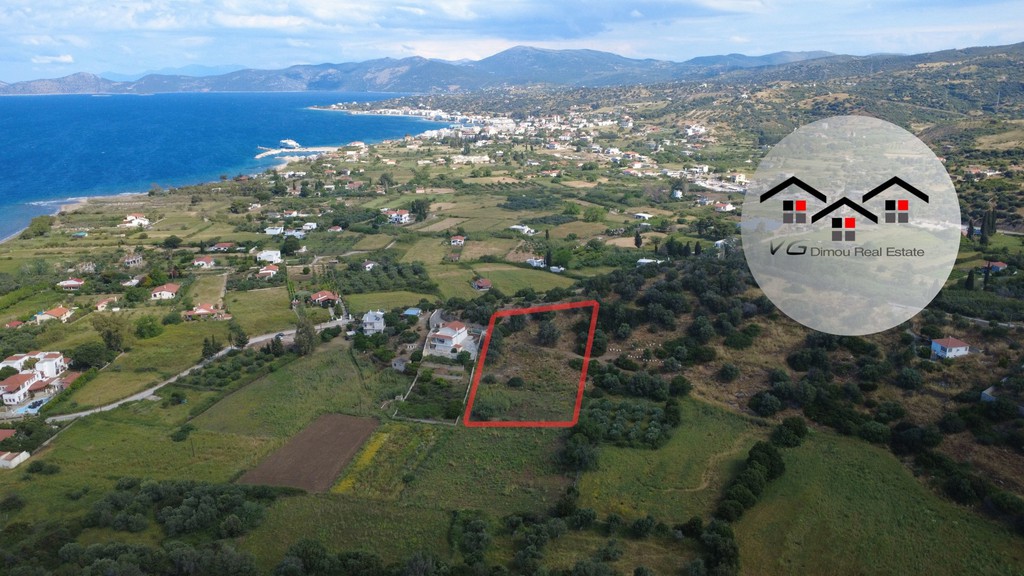 Αγροτεμάχια 4.321 τ.μ. πρός πώληση, Εύβοια, Στύρα