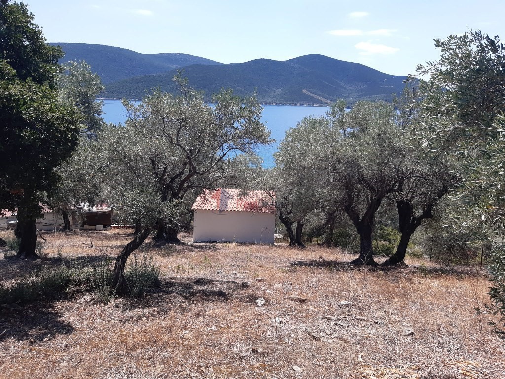 Μονοκατοικία 14,12 τ.μ. προς πώληση, Παλαιό Τρίκερι