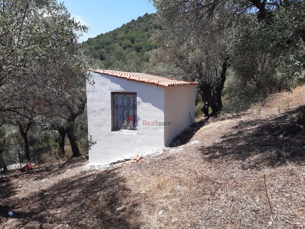 Μονοκατοικία 14,12 τ.μ. προς πώληση, Παλαιό Τρίκερι
