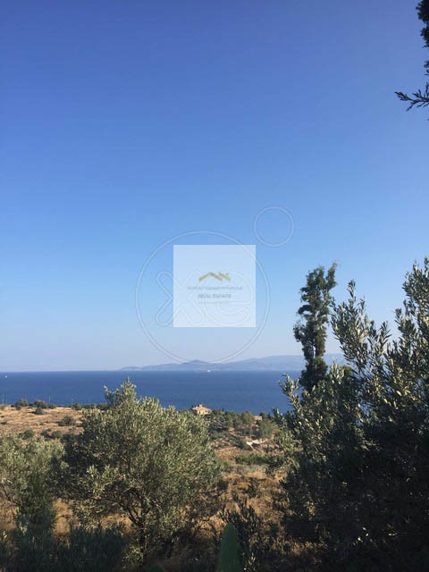 Οικόπεδο 16.450 τ.μ. προς πώληση, Πέρδικα Αίγινας