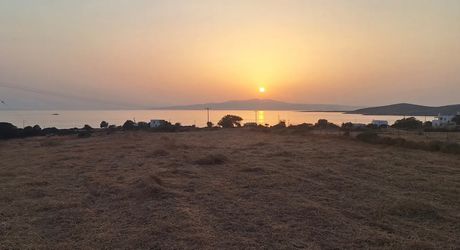 Land plot 12.000 sqm for sale