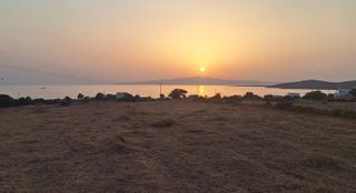 Οικόπεδο 12.000 τ.μ. για πώληση