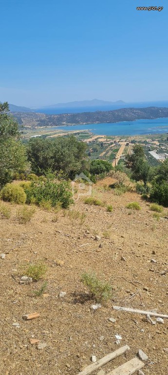 Αγροτεμάχια 8.048 τ.μ. προς πώληση, Γαλατάς Τροιζήνας
