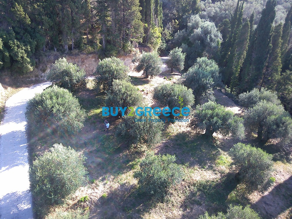 Οικόπεδο 2.524 τ.μ. προς πώληση, Κέρκυρα