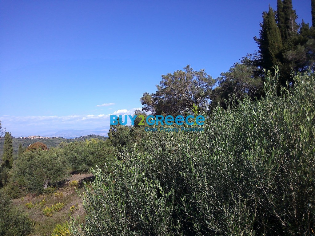 Οικόπεδο 2.524 τ.μ. προς πώληση, Κέρκυρα