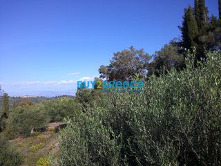 Οικόπεδο 2.524 τ.μ. προς πώληση, Κέρκυρα-thumb-2