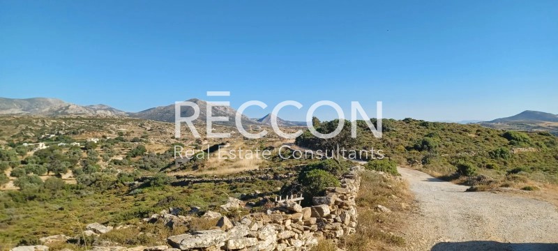Οικόπεδο 33.130 τ.μ. προς πώληση, Άνω Ποταμιά Νάξου