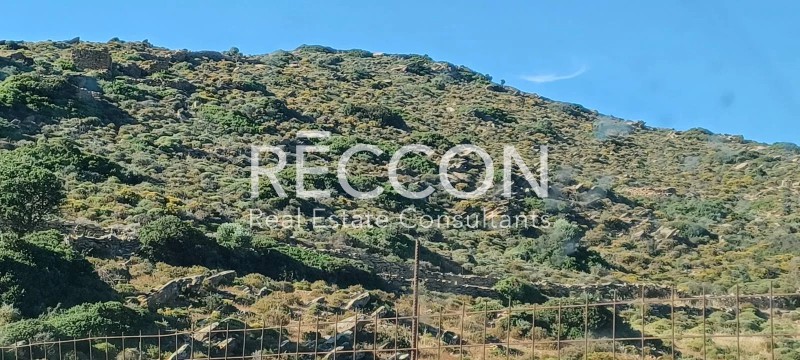 Οικόπεδο 33.130 τ.μ. προς πώληση, Άνω Ποταμιά Νάξου