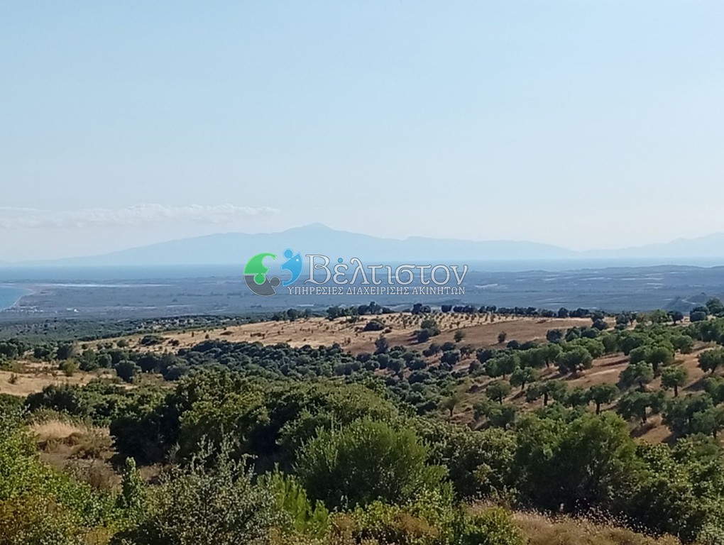 Μονοκατοικία 58 τ.μ. πρός πώληση, Χαλκιδική, Πολύγυρος