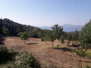 Οικόπεδο 7.000 τ.μ. για πώληση