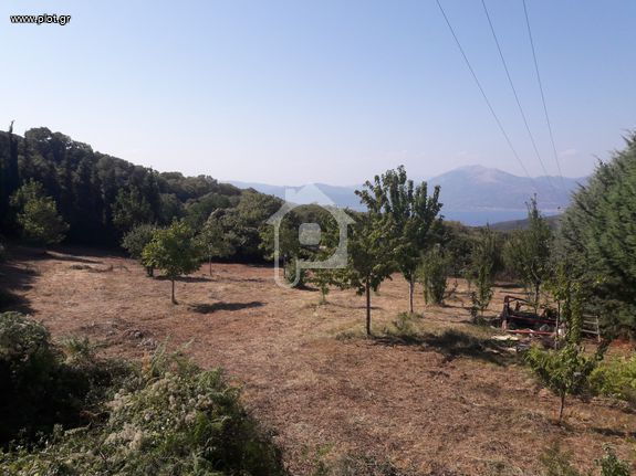 Οικόπεδο 7.000 τ.μ. για πώληση, Αχαΐα, Ρίο