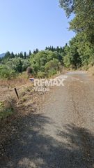 Αγροτεμάχια 1.145 τ.μ. για πώληση, Ν. Λευκάδας, Λευκάδα-thumb-11