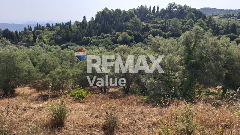 Αγροτεμάχια 1.145 τ.μ. προς πώληση, Περιοχή Χώρας Λευκάδας