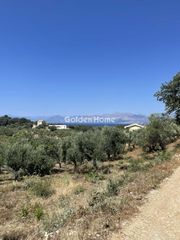 Αγροτεμάχια 25.000 τ.μ. για πώληση