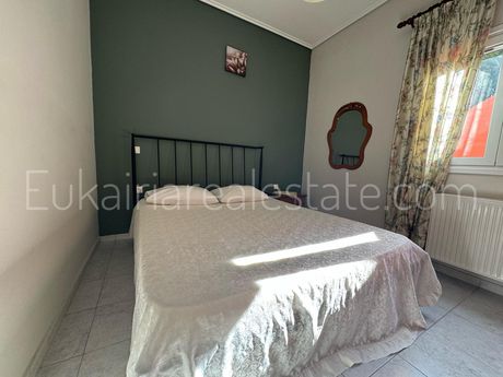 Apartment 60 sqm for rent