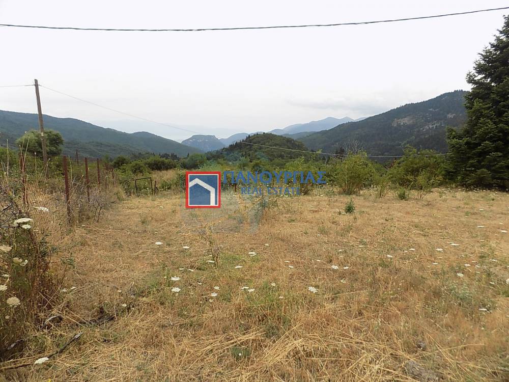 Οικόπεδο 434 τ.μ. πρός πώληση, Φθιώτιδας, Παύλιανη