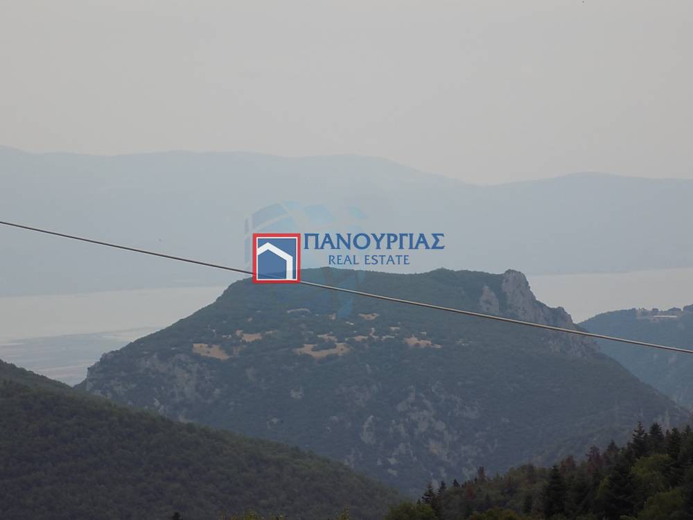 Οικόπεδο 434 τ.μ. πρός πώληση, Φθιώτιδας, Παύλιανη