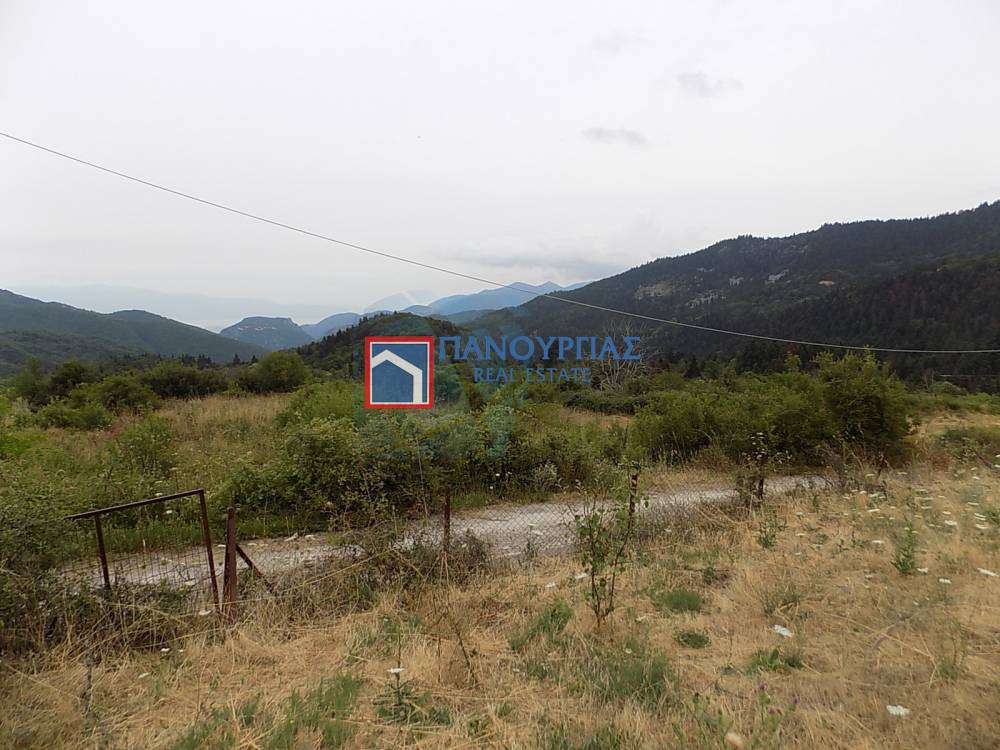 Οικόπεδο 434 τ.μ. πρός πώληση, Φθιώτιδας, Παύλιανη