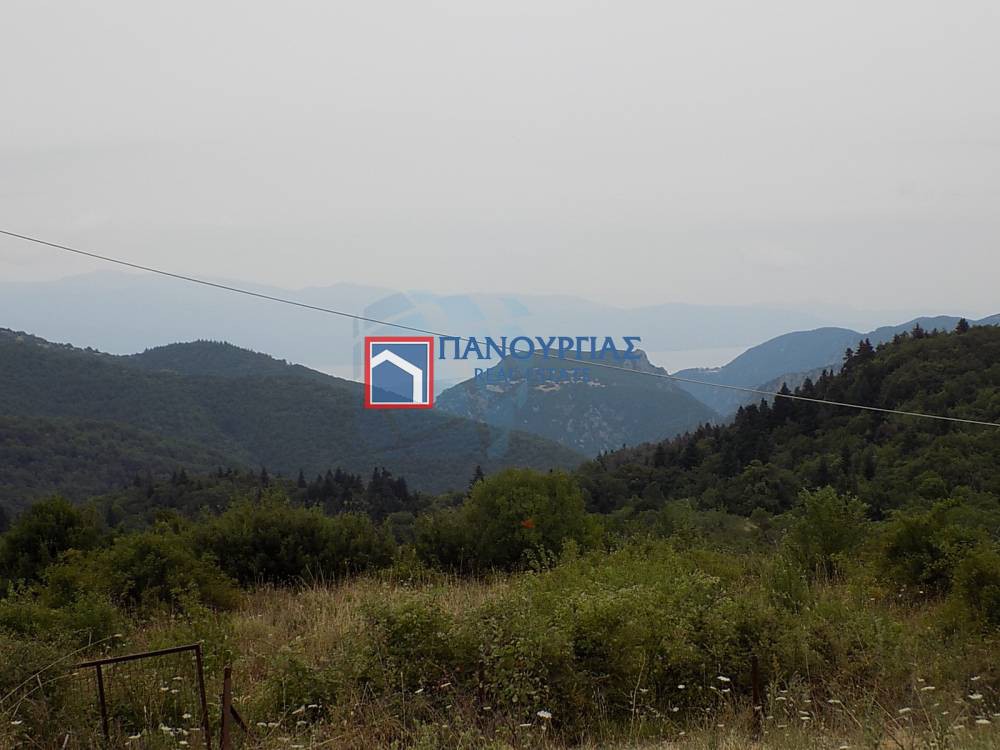 Οικόπεδο 434 τ.μ. πρός πώληση, Φθιώτιδας, Παύλιανη