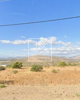 Parcel 25.000 sqm for sale