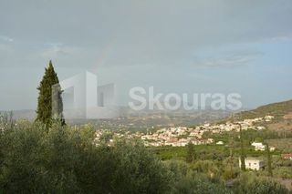 Μονοκατοικία 240 τ.μ. για πώληση, Αργολίδα, Ναύπλιο-thumb-16