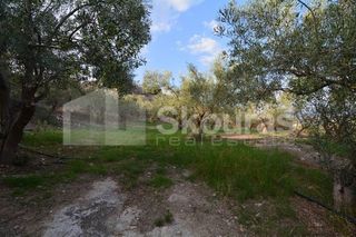 Μονοκατοικία 240 τ.μ. για πώληση, Αργολίδα, Ναύπλιο-thumb-22