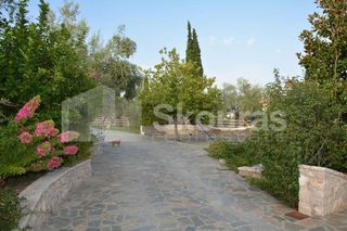 Μονοκατοικία 240 τ.μ. για πώληση, Αργολίδα, Ναύπλιο-thumb-12