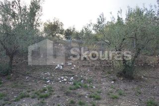 Μονοκατοικία 240 τ.μ. για πώληση, Αργολίδα, Ναύπλιο-thumb-19