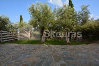 Μονοκατοικία 240 τ.μ. για πώληση, Αργολίδα, Ναύπλιο-thumb-21