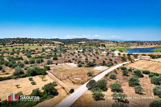 Οικόπεδο 4.798,84 τ.μ. για ενοικίαση, Αργολίδα, Κρανίδι