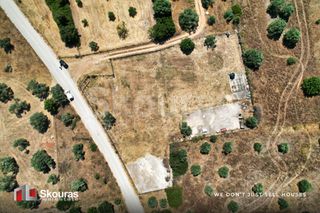 Οικόπεδο 4.798,84 τ.μ. για ενοικίαση, Αργολίδα, Κρανίδι-thumb-1