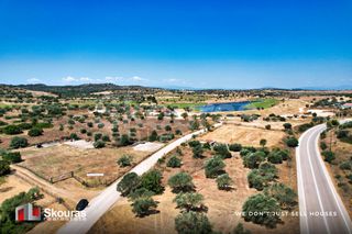 Οικόπεδο 4.798,84 τ.μ. για ενοικίαση, Αργολίδα, Κρανίδι-thumb-9