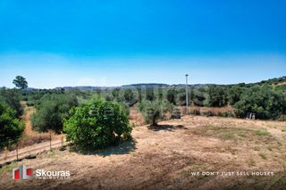 Οικόπεδο 4.798,84 τ.μ. για ενοικίαση, Αργολίδα, Κρανίδι-thumb-5