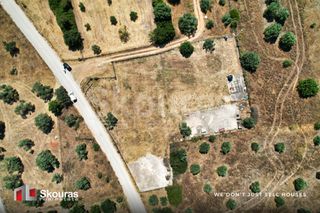 Οικόπεδο 4.798,84 τ.μ. για ενοικίαση, Αργολίδα, Κρανίδι-thumb-10