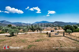 Οικόπεδο 4.798,84 τ.μ. για ενοικίαση, Αργολίδα, Κρανίδι-thumb-16
