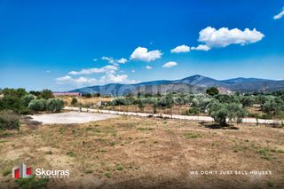 Οικόπεδο 4.798,84 τ.μ. για ενοικίαση, Αργολίδα, Κρανίδι-thumb-17